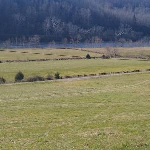 Photo #7 of Wilderness Creek Rd., Monroe, VA 100.0 acres