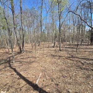 Photo #1 of 1334 Lynchburg Salem Turnpike, Bedford, VA 36.1 acres