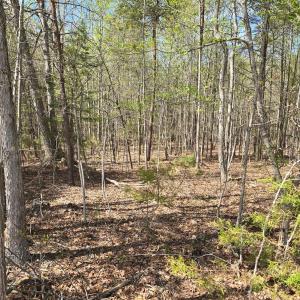 Photo #1 of Trading Post Road, Huddleston, VA 4.5 acres