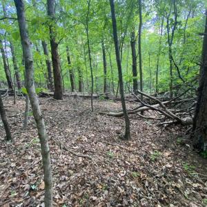 Photo #9 of Misty Mountain Road, Lynch Station, VA 7.8 acres