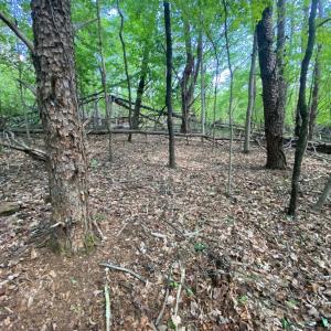 Photo #10 of Misty Mountain Road, Lynch Station, VA 7.8 acres