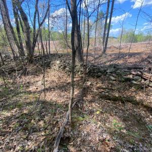 Photo #3 of Misty Mountain Road, Lynch Station, VA 7.8 acres