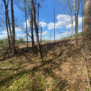 Photo #6 of Misty Mountain Road, Lynch Station, VA 7.8 acres