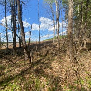 Photo #5 of Misty Mountain Road, Lynch Station, VA 7.8 acres