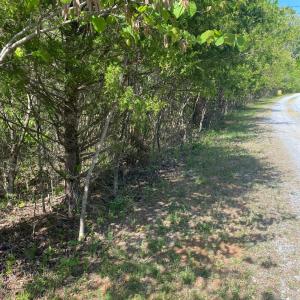 Photo #12 of Misty Mountain Road, Lynch Station, VA 7.8 acres