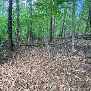 Photo #12 of Misty Mountain Road, Lynch Station, VA 7.8 acres