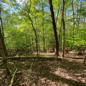 Photo #3 of Misty Mountain Road, Lynch Station, VA 7.8 acres