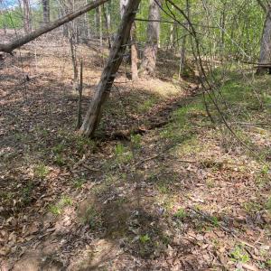 Photo #8 of Misty Mountain Road, Lynch Station, VA 7.8 acres