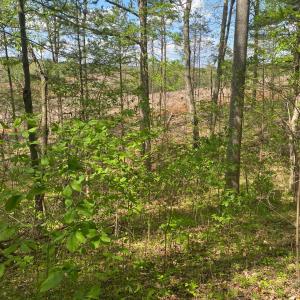 Photo #9 of Misty Mountain Road, Lynch Station, VA 7.8 acres