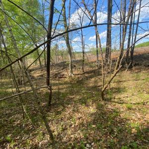 Photo #5 of Misty Mountain Road, Lynch Station, VA 7.8 acres
