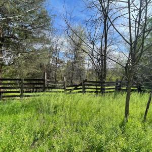 Photo #4 of 10936 Moneta Road, Moneta, VA 11.0 acres