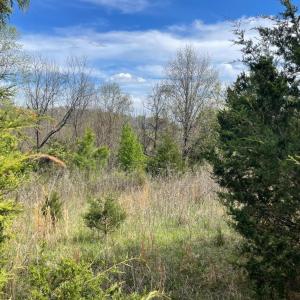 Photo #22 of 10936 Moneta Road, Moneta, VA 11.0 acres