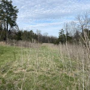 Photo #25 of 10936 Moneta Road, Moneta, VA 11.0 acres