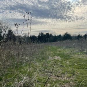 Photo #24 of 10936 Moneta Road, Moneta, VA 11.0 acres