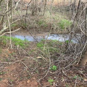 Photo #23 of 10936 Moneta Road, Moneta, VA 11.0 acres