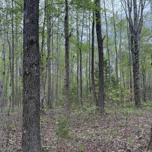 Photo #1 of Farmville Road, Meherrin, VA 12.7 acres