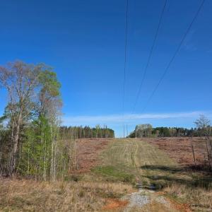 Photo #3 of Woodland Lane, Drakes Branch, VA 101.2 acres