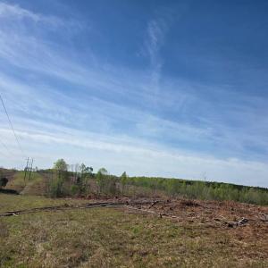 Photo #2 of Woodland Lane, Drakes Branch, VA 101.2 acres
