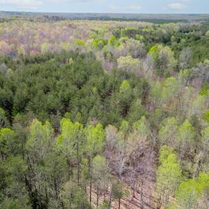 Photo #13 of Lots 7-10 Lewis Ford Road, Brookneal, VA 14.6 acres