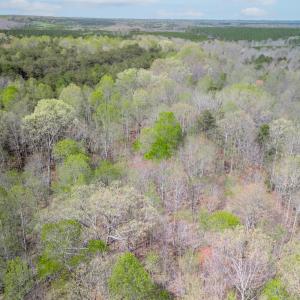 Photo #14 of Lots 7-10 Lewis Ford Road, Brookneal, VA 14.6 acres