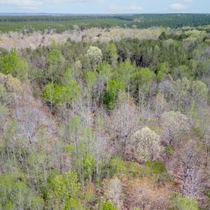 Photo #15 of Lots 7-10 Lewis Ford Road, Brookneal, VA 14.6 acres