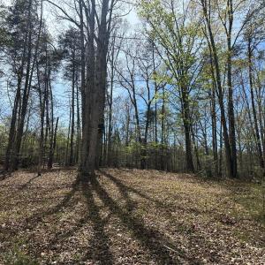 Photo #3 of Gladys Road, Altavista, VA 4.9 acres