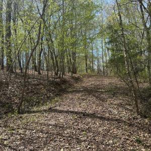 Photo #9 of Gladys Road, Altavista, VA 4.9 acres