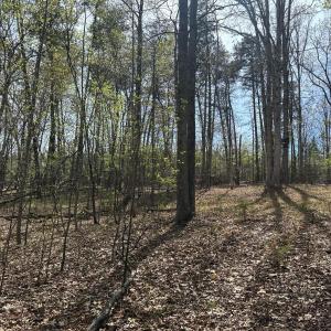 Photo #7 of Gladys Road, Altavista, VA 4.9 acres