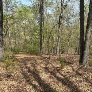Photo #6 of Gladys Road, Altavista, VA 4.9 acres