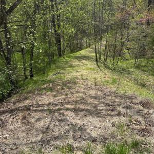 Photo #1 of Gladys Road, Altavista, VA 4.9 acres