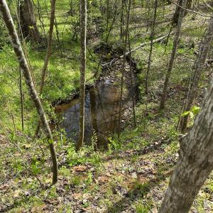 Photo #5 of Gladys Road, Altavista, VA 4.9 acres