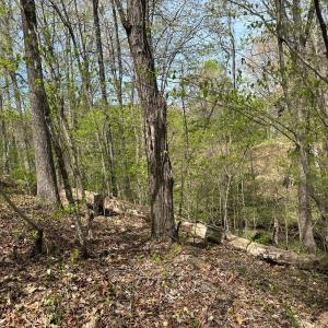 Photo #4 of Gladys Road, Altavista, VA 4.9 acres