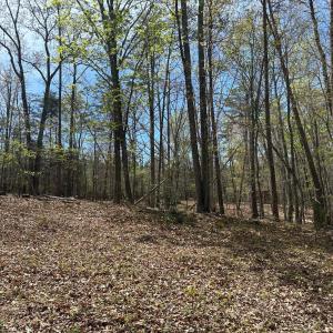Photo #8 of Gladys Road, Altavista, VA 4.9 acres