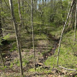 Photo #2 of Gladys Road, Altavista, VA 4.9 acres