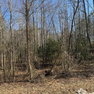 Photo #4 of Sturgeon Road, Dolphin, VA 11.5 acres