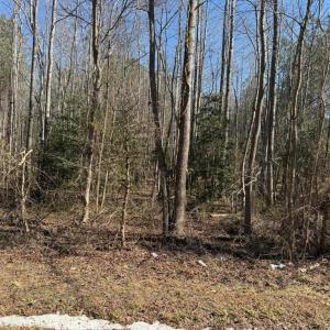 Photo #3 of Sturgeon Road, Dolphin, VA 11.5 acres