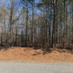 Photo #1 of Sturgeon Road, Dolphin, VA 11.5 acres