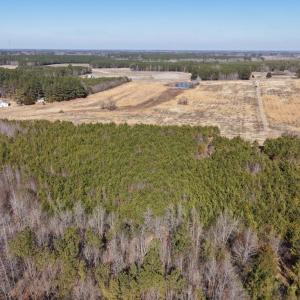 Photo #2 of Sturgeon Road, Dolphin, VA 11.5 acres
