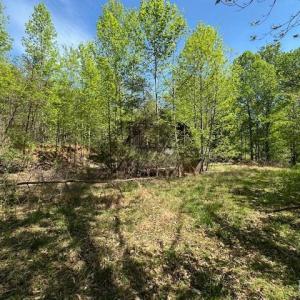 Photo #13 of 3022 Bonsack Street, Lynchburg, VA 1.2 acres