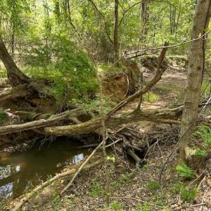 Photo #16 of 3022 Bonsack Street, Lynchburg, VA 1.2 acres