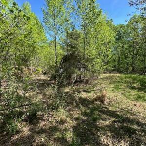 Photo #12 of 3022 Bonsack Street, Lynchburg, VA 1.2 acres