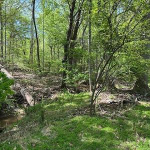 Photo #20 of 3022 Bonsack Street, Lynchburg, VA 1.2 acres