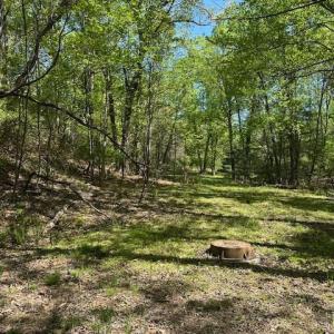 Photo #14 of 3022 Bonsack Street, Lynchburg, VA 1.2 acres