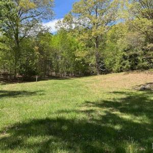 Photo #17 of 3022 Bonsack Street, Lynchburg, VA 1.2 acres