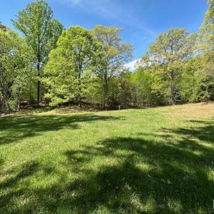 Photo #19 of 3022 Bonsack Street, Lynchburg, VA 1.2 acres