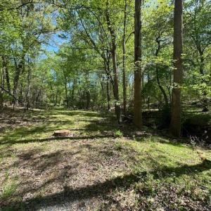 Photo #15 of 3022 Bonsack Street, Lynchburg, VA 1.2 acres