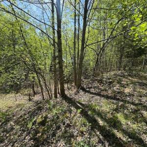 Photo #10 of 3022 Bonsack Street, Lynchburg, VA 1.2 acres