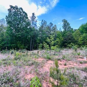 Photo #4 of Wards Rd, Altavista, VA 9.4 acres