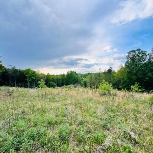Photo #2 of Wards Rd, Altavista, VA 9.4 acres