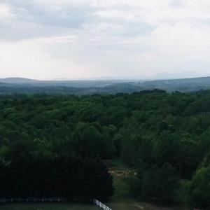 Photo #11 of Wards Rd, Altavista, VA 9.4 acres